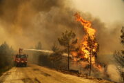 Эрдоган объявил пострадавшие от лесных пожаров регионы зоной бедствия: Происшествия: Мир: Lenta.ru
