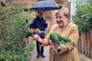 На Меркель напал попугай: Происшествия: Мир: Lenta.ru