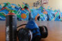 Художники разрисовали стену в спортзале школы Судака: Культура: Моя страна: Lenta.ru