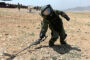 Талибы попросили помочь с обезвреживанием заложенных ими мин: Конфликты: Мир: Lenta.ru