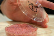 В России станет больше искусственного мяса